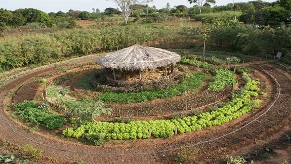 Agricultura Sustentável