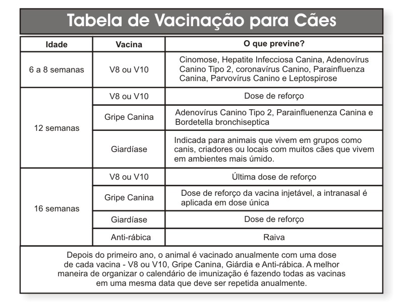 Vacinas para Cães